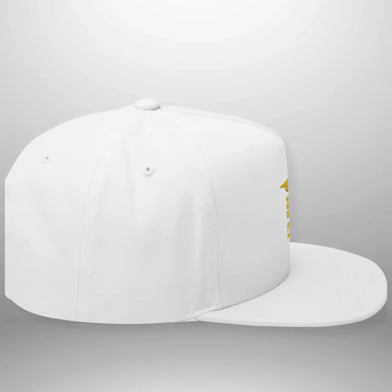 Romans 6:4 Flat Bill Cap | Embroidered Cross Snapback | Structured Five-Panel Hat Goshen & Selah Co