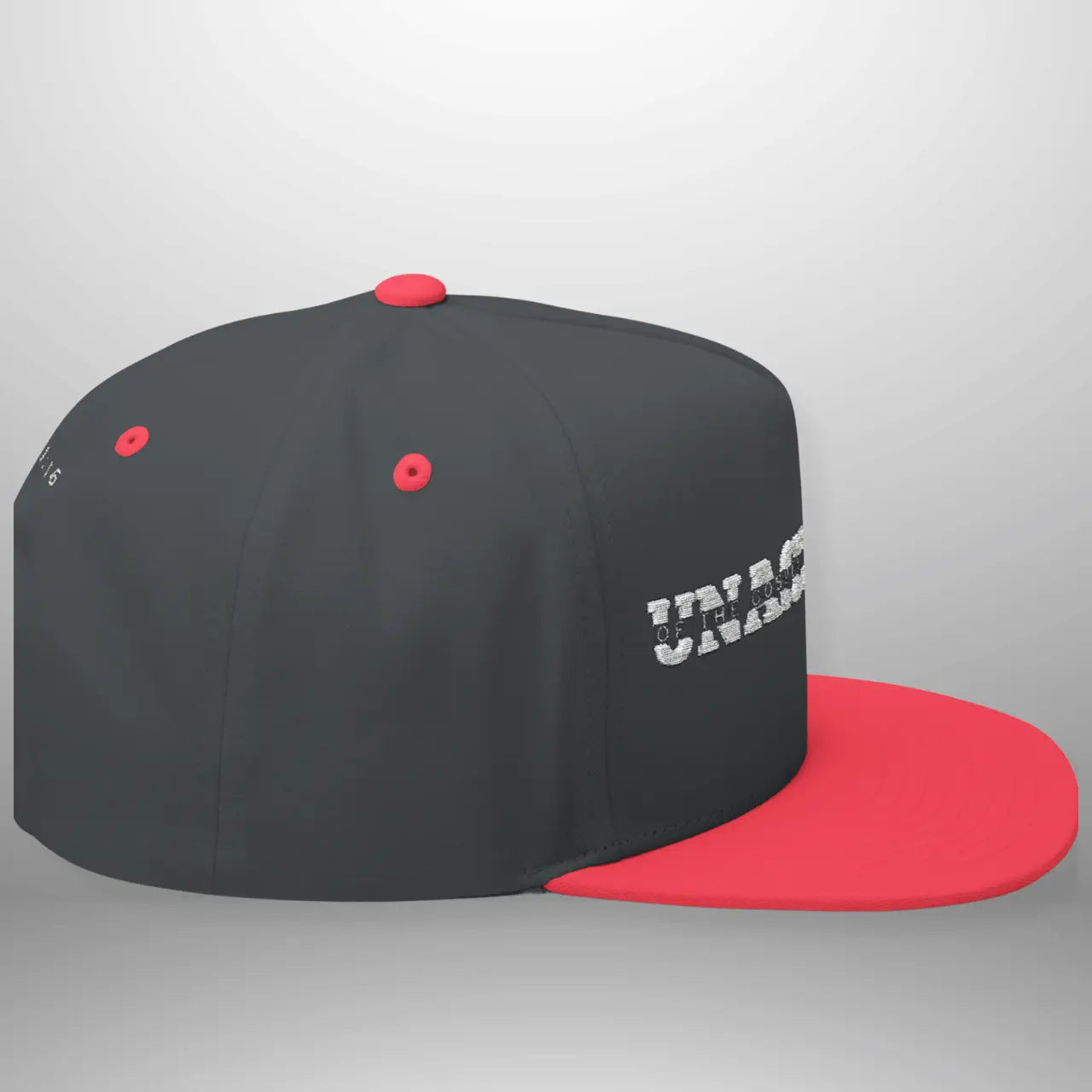 Unashamed of the Gospel of Jesus Christ Flat Bill Cap | Structured Snapback Hat Goshen & Selah Co