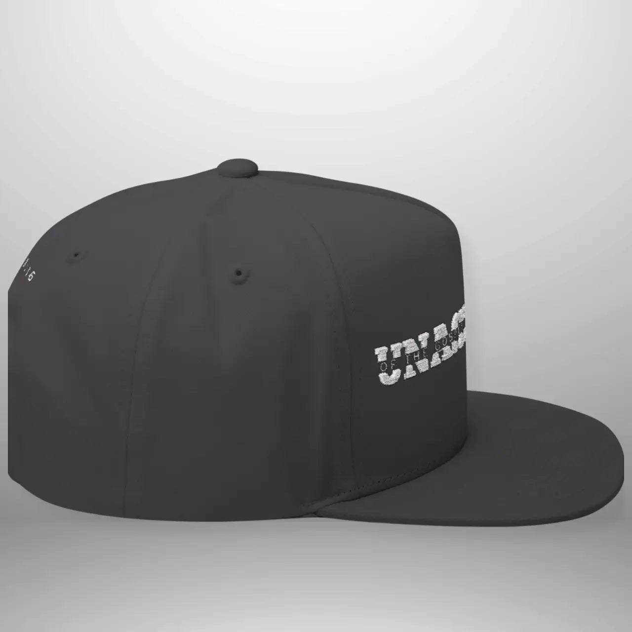 Unashamed of the Gospel of Jesus Christ Flat Bill Cap | Structured Snapback Hat Goshen & Selah Co