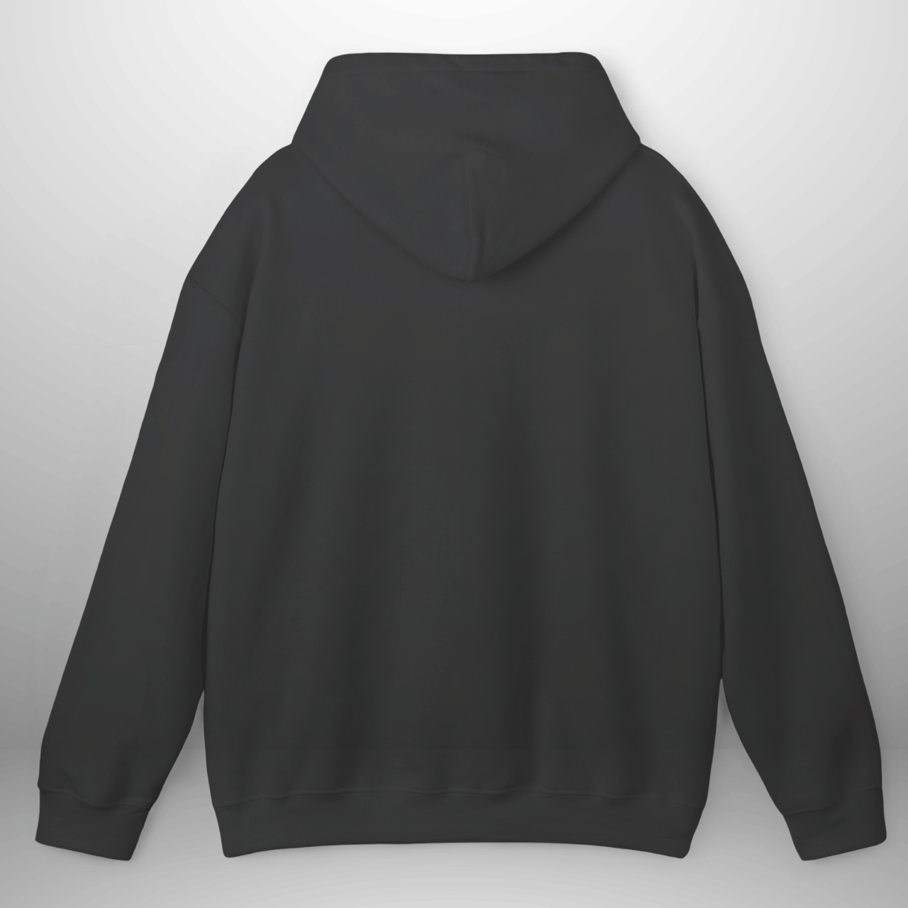 Unisex Salt & Light Matthew 5:13–16 Hoodie | Cozy Pullover