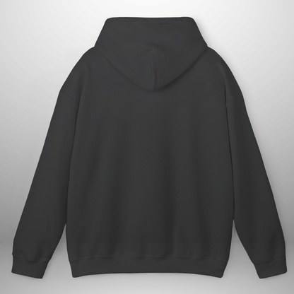 Unisex Salt & Light Matthew 5:13–16 Hoodie | Cozy Pullover