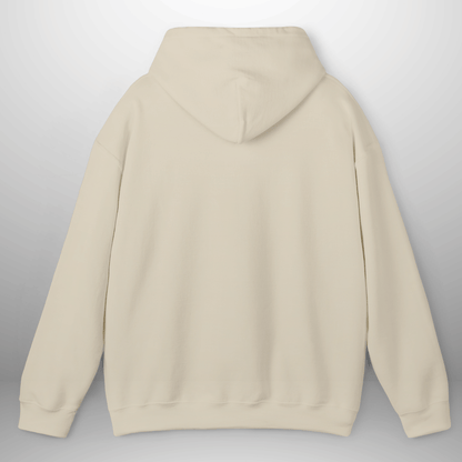 Unisex Salt & Light Matthew 5:13–16 Hoodie | Cozy Pullover